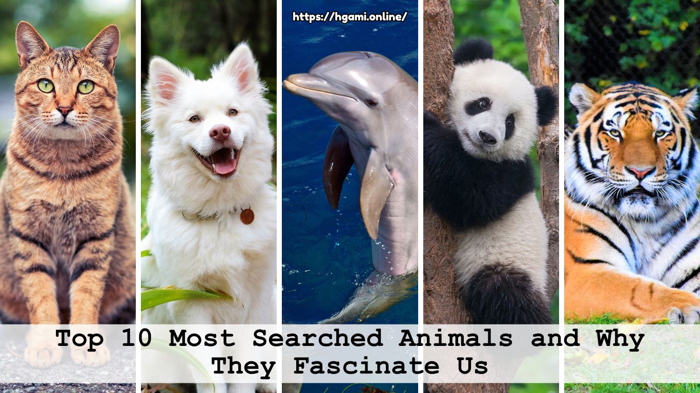 Top 10 Most Searched Animals and Why They Fascinate Us