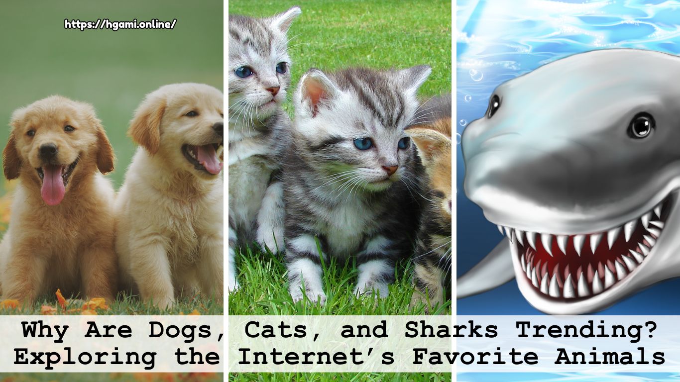 Why Are Dogs, Cats, and Sharks Trending? Exploring the Internet’s Favorite Animals